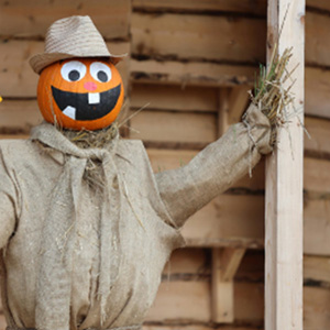 A scarecrow with a pumpkin head
