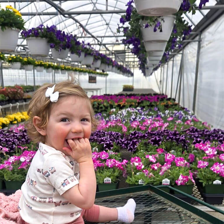 Jones Family Farm Greenhouse have a ton of handmade planters, homegrown vegetable plants, and hanging baskets.